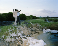 Seasalt Ltd.