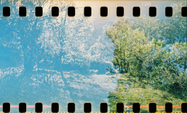 breath