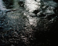Clotted matter